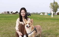 照美冥被爆漫画漫歪歪画